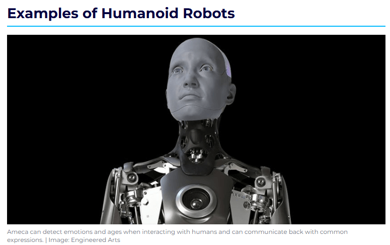 The Humanoid Revolution begins…2024