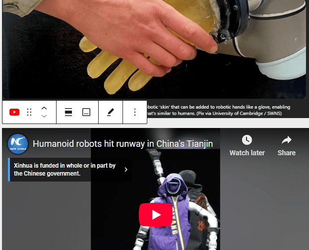 roboskin and runway models